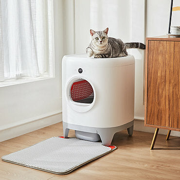 PURR X 4 SEASONS - Vernetztes, Selbstreinigendes Katzenklo